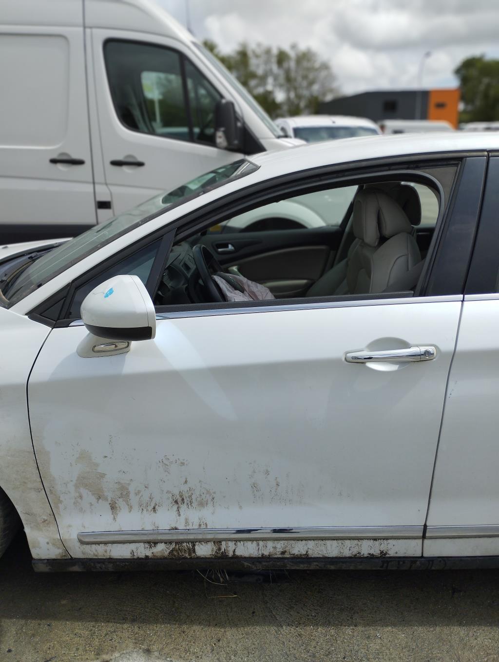 Maniglia portiera anteriore sinistra CITROEN C5 2 Diésel - 1