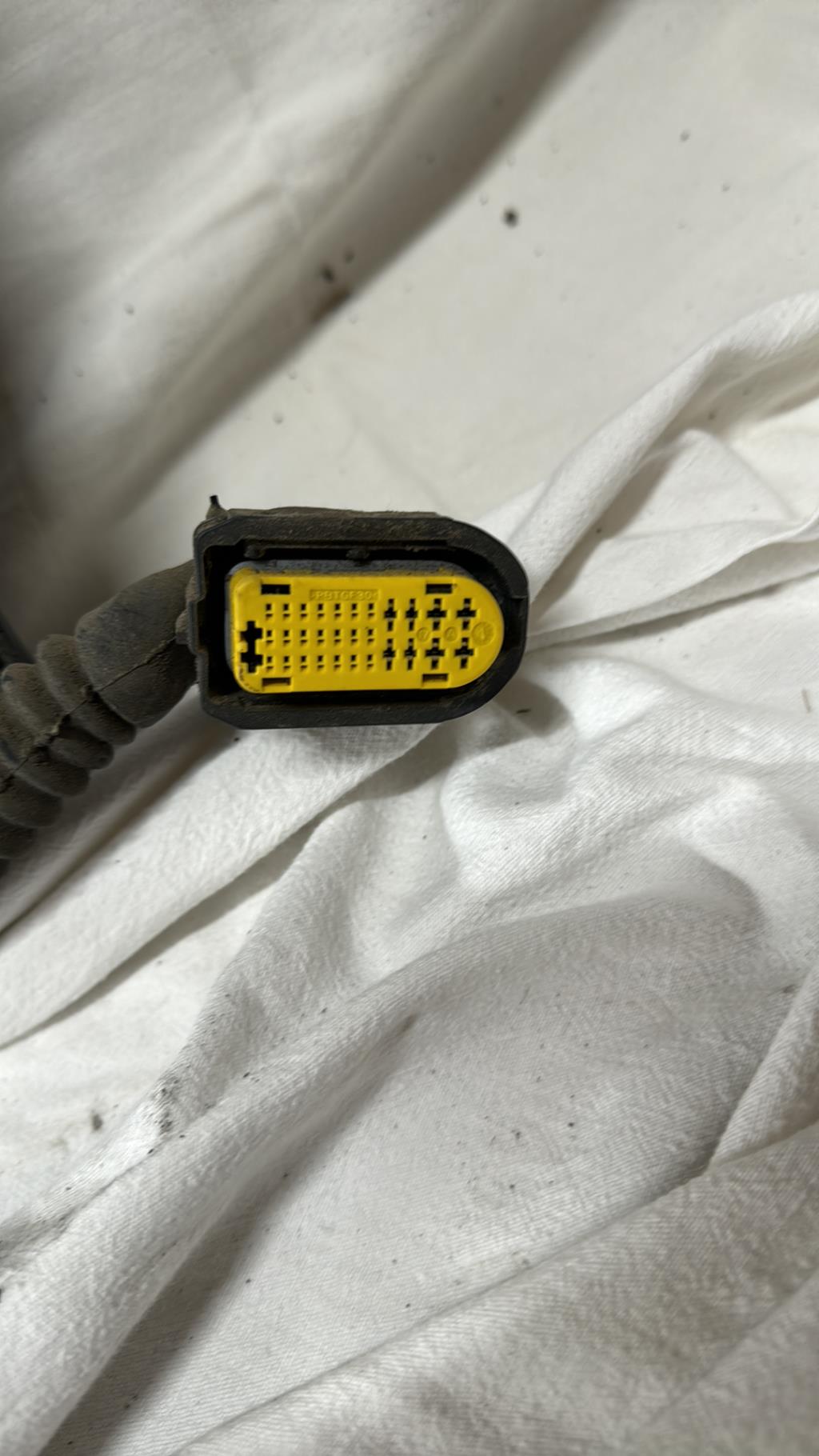 Porte arriere gauche RENAULT SCENIC 3 PHASE 3 Diesel - 1