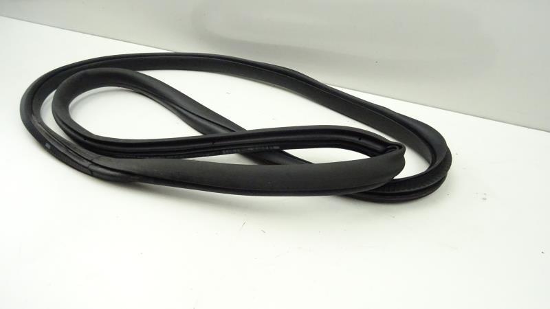 Guarnizione sportello posteriore destro CITROEN C3 3 PHASE 1 Gasolina - 1