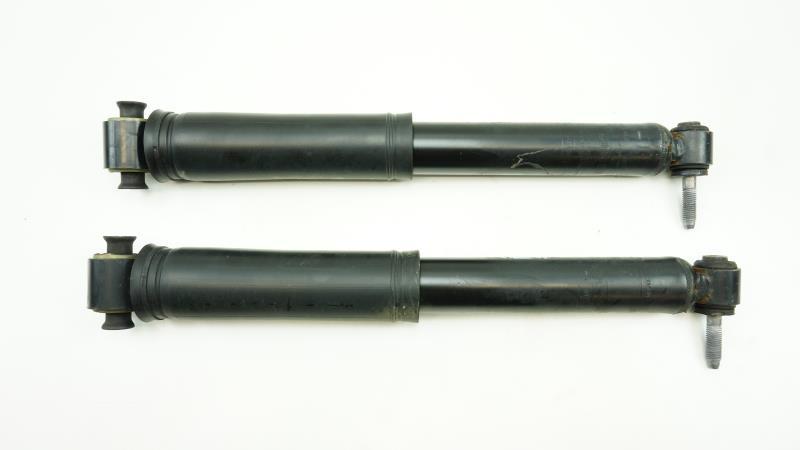 Ammortizzatori posteriori RENAULT SCENIC 4  - 1