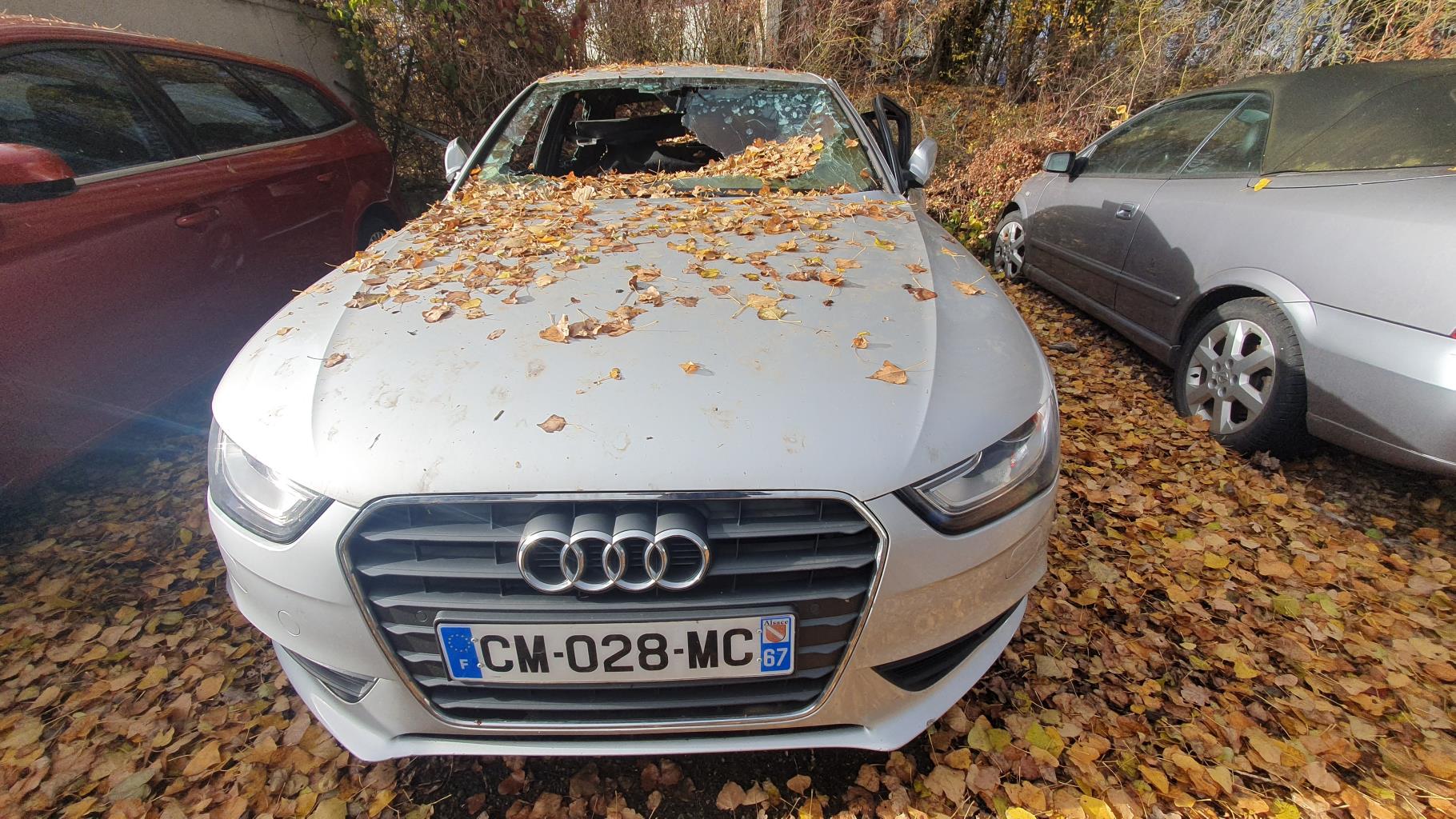 Demarreur pour AUDI A4 3 PHASE 2 Demarreur pour AUDI A4 3 PHASE 2