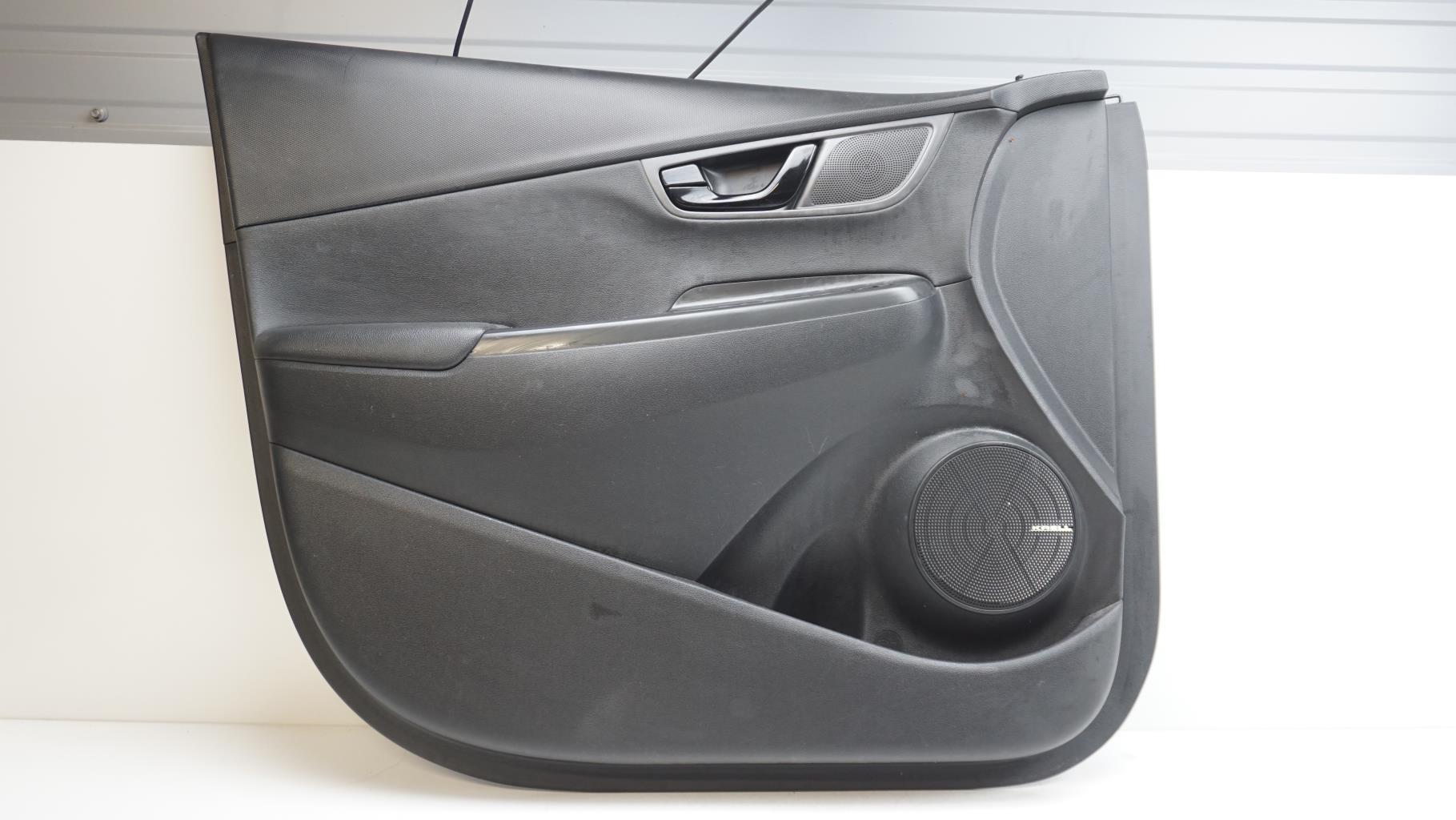 Pannello portiera anteriore sinistro HYUNDAI KONA PHASE 1 Diésel - 1