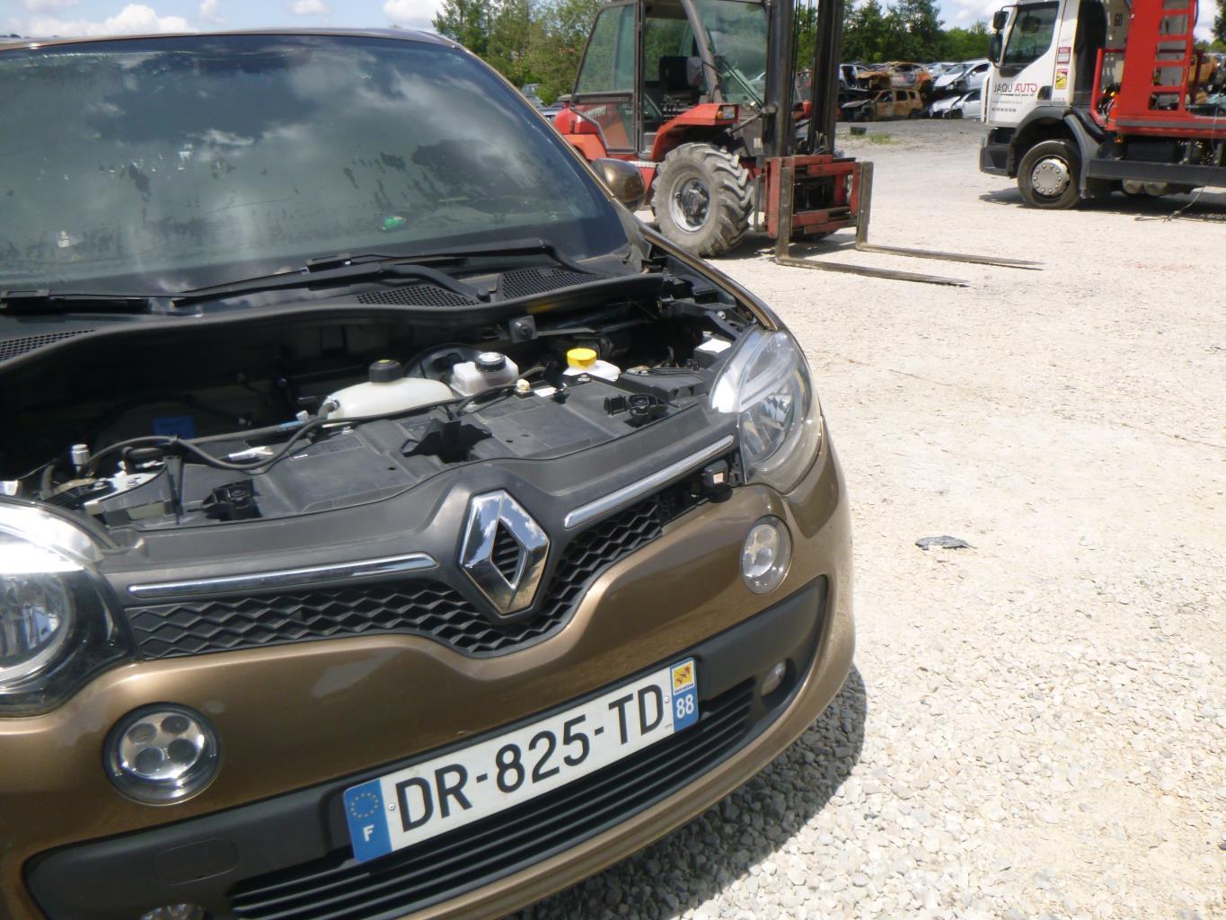 Porte Arrière Gauche Pour Renault Twingo 3 Phase 1 – 821010468R – D’occasion, Blanche