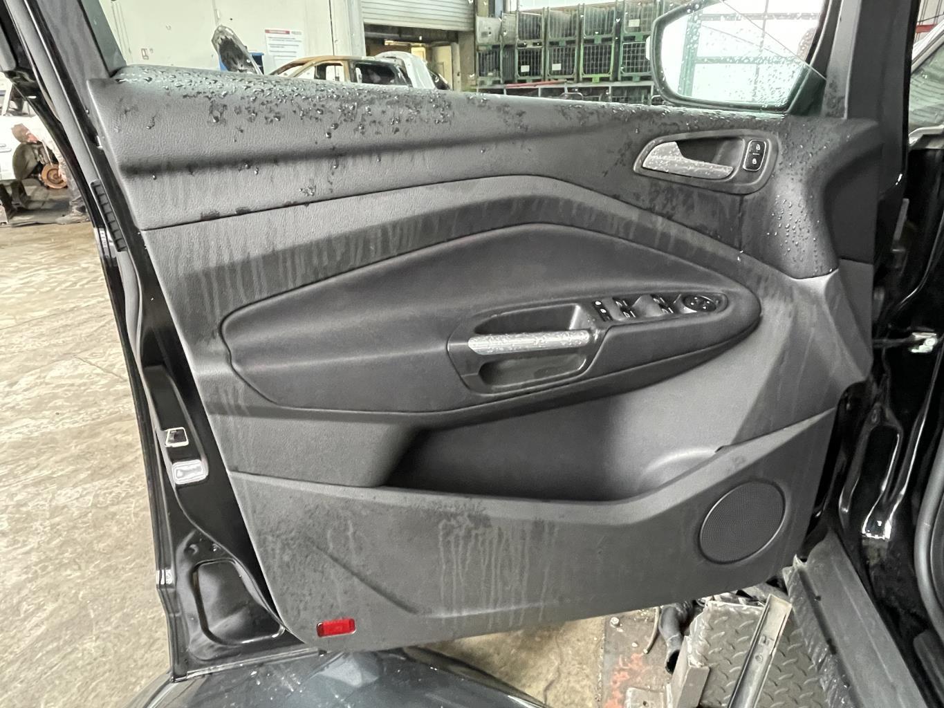 Panel de puerta delantera izquierda FORD C-MAX 2 PHASE 2 Diésel - 1