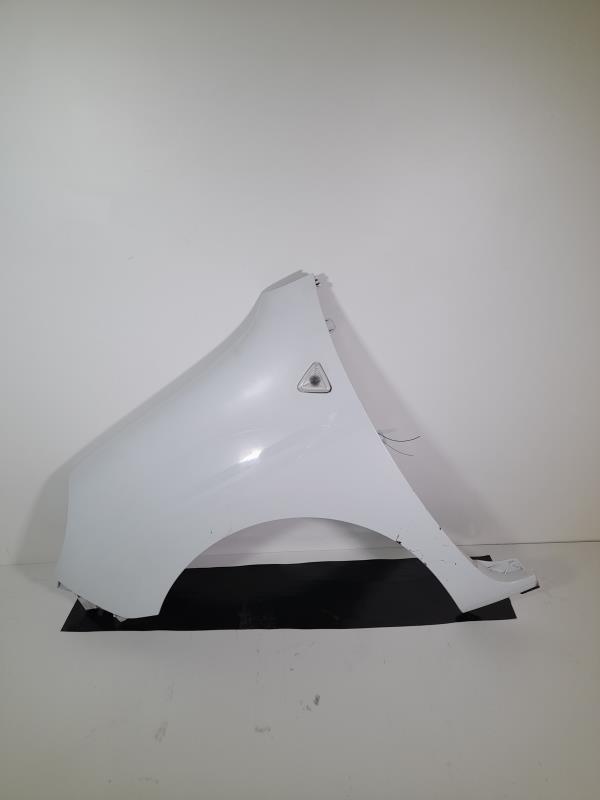 Parafango anteriore sinistro RENAULT KANGOO 2 PHASE 1 Diésel - 1