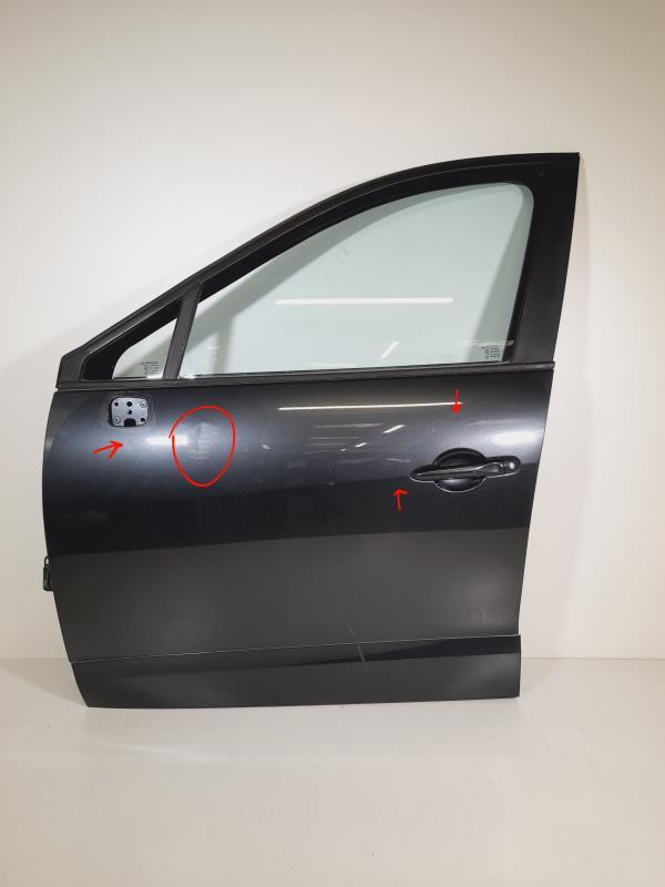 Portiera anteriore sinistra RENAULT SCENIC 3 PHASE 1 Diésel - 1