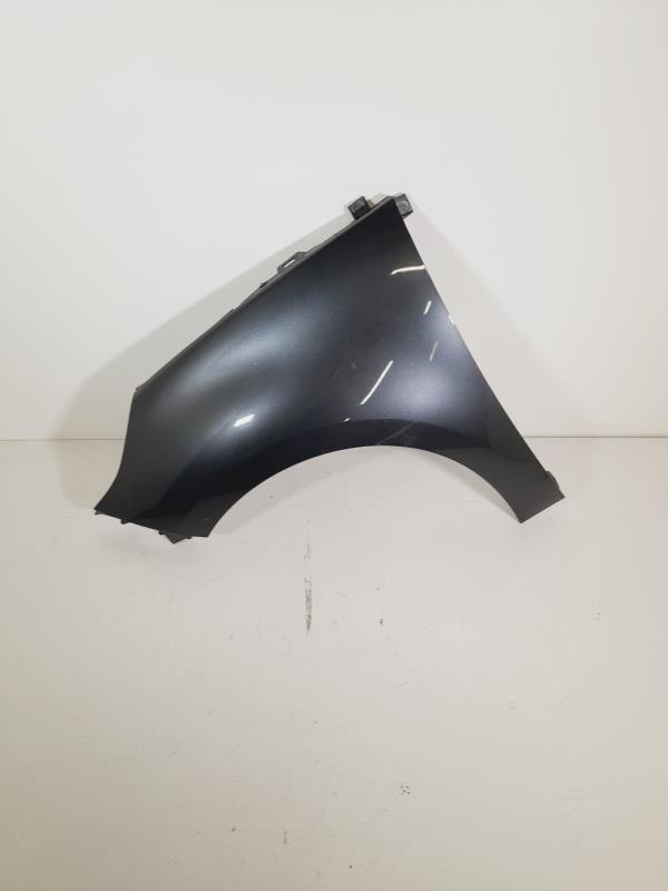 Parafango anteriore sinistro RENAULT SCENIC 3 PHASE 1 Diésel - 1