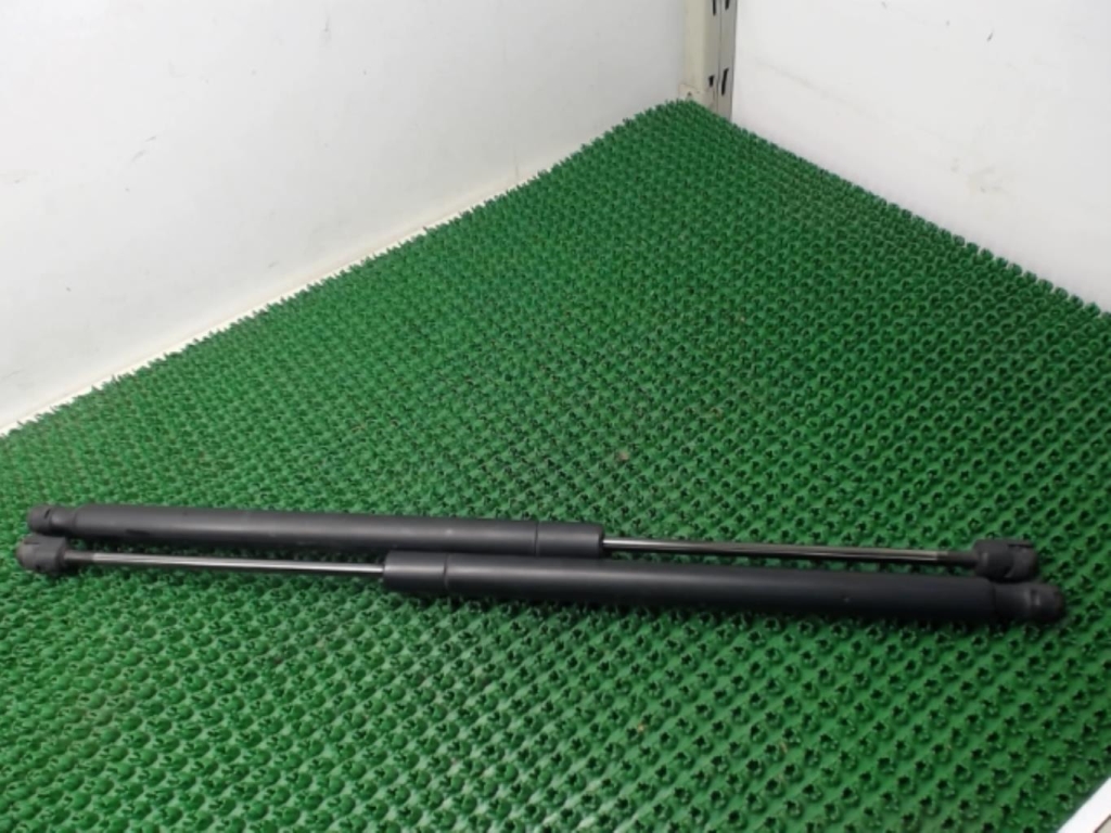 Verin de coffre RENAULT SCENIC 2 PHASE 1 Diesel - 1