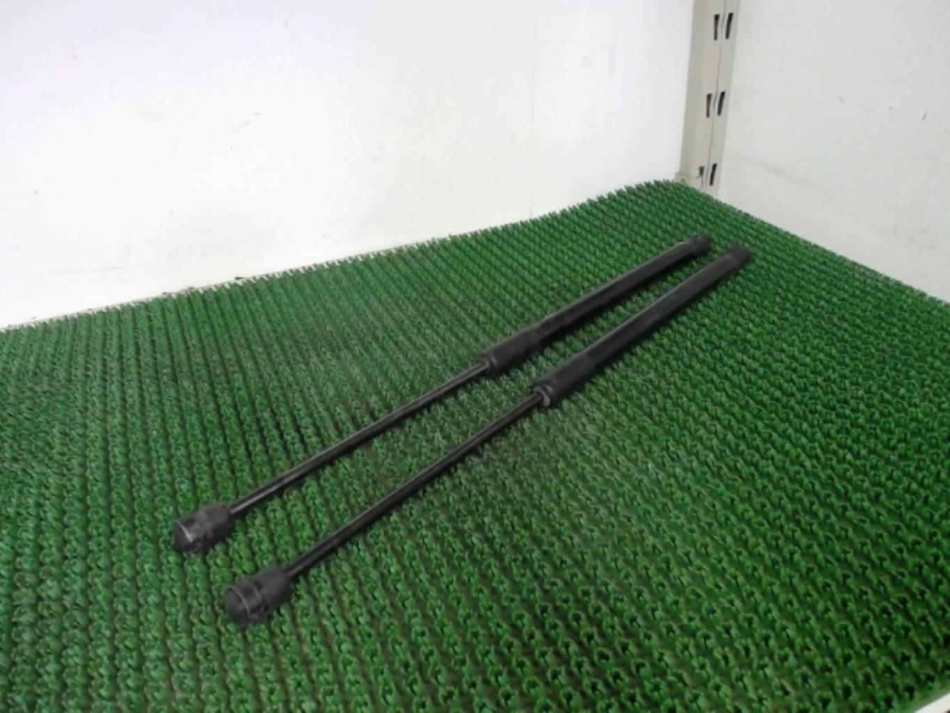 Verin de coffre RENAULT SCENIC 2 PHASE 1 Diesel - 1