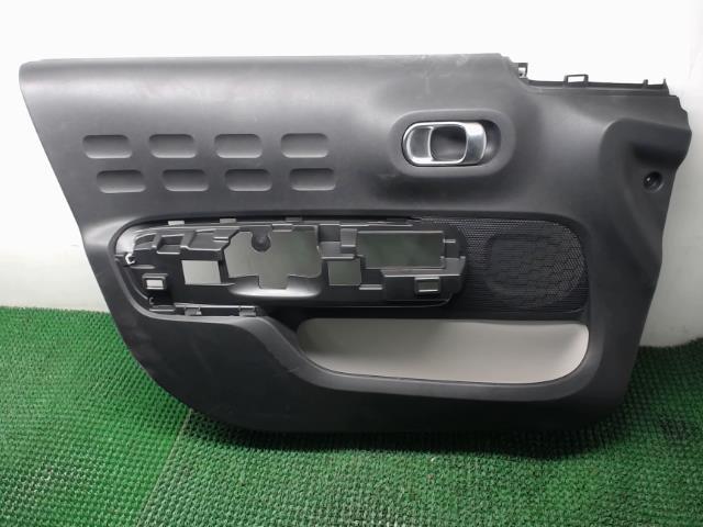Panneau de porte avant gauche CITROEN C3 3 PHASE 1 Diesel - 1