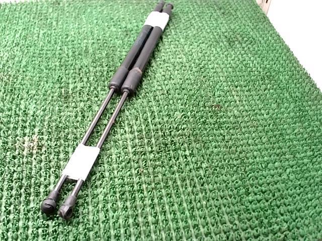 Verin de coffre RENAULT SCENIC 4 Diesel - 1