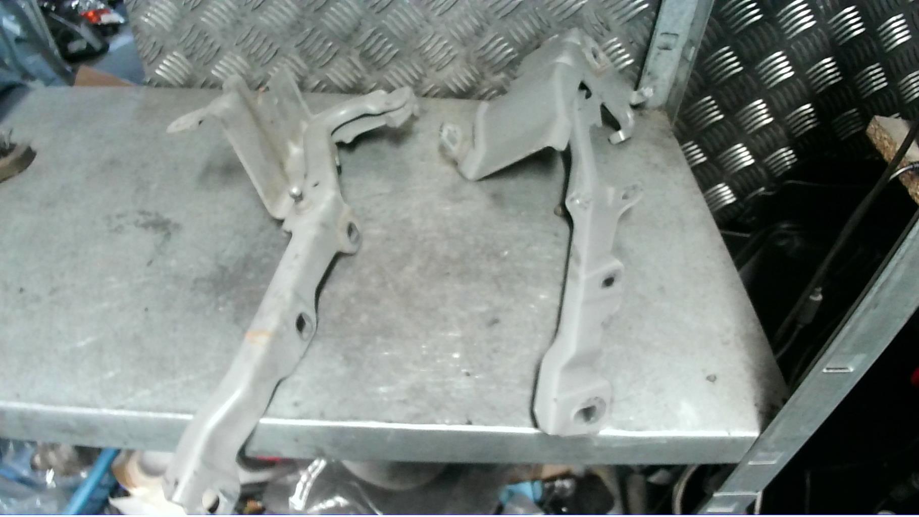 Charniere de capot RENAULT LATITUDE Diesel - 1