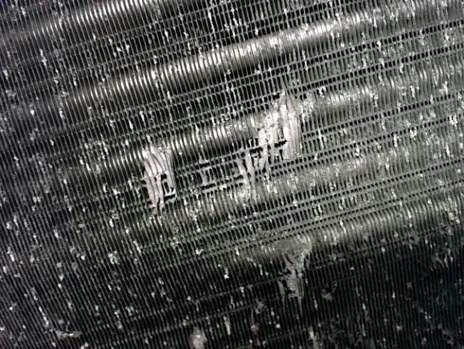 Photo de la pièce