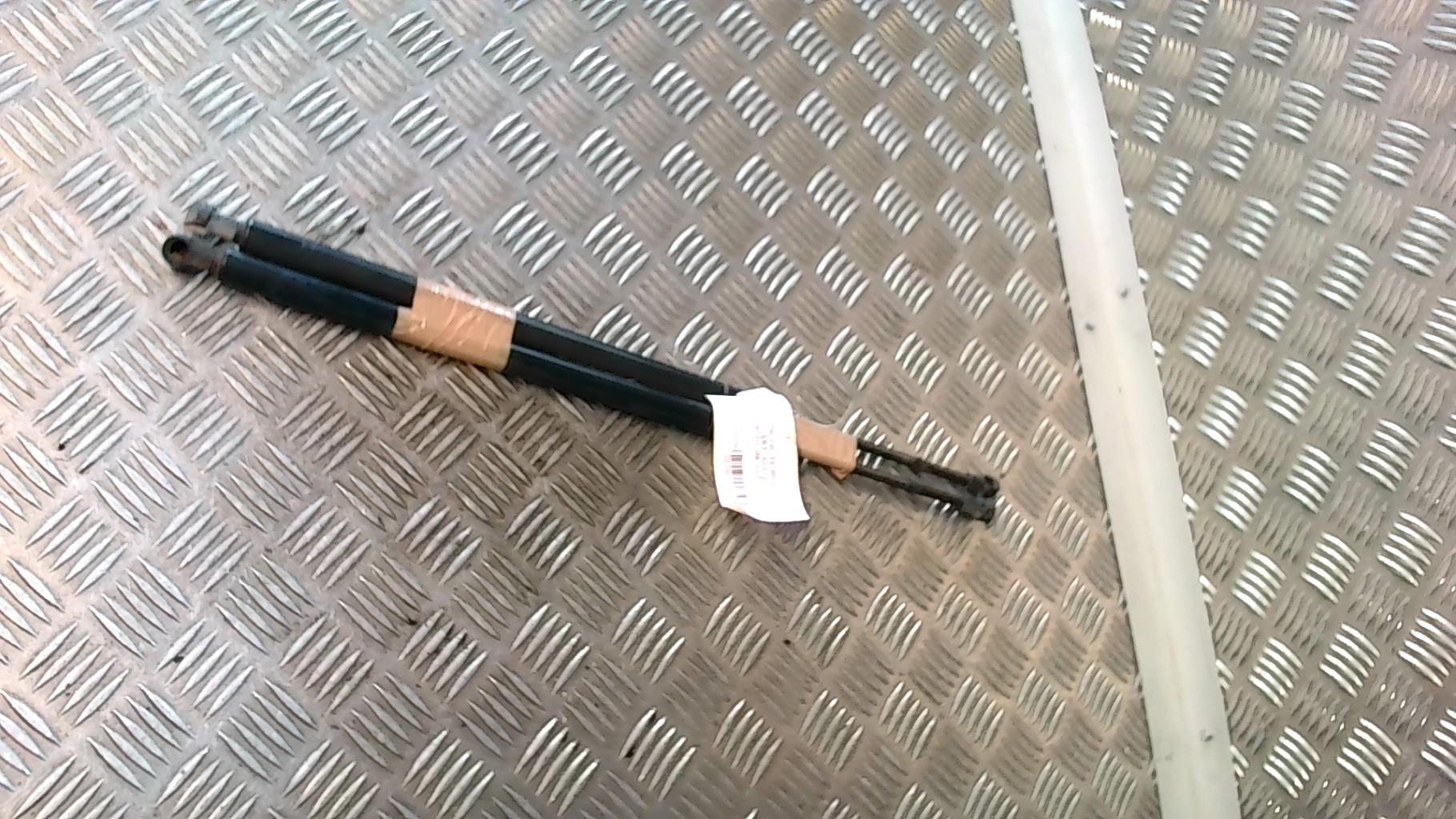 Verin de coffre BMW X5 E53 Diesel - 1