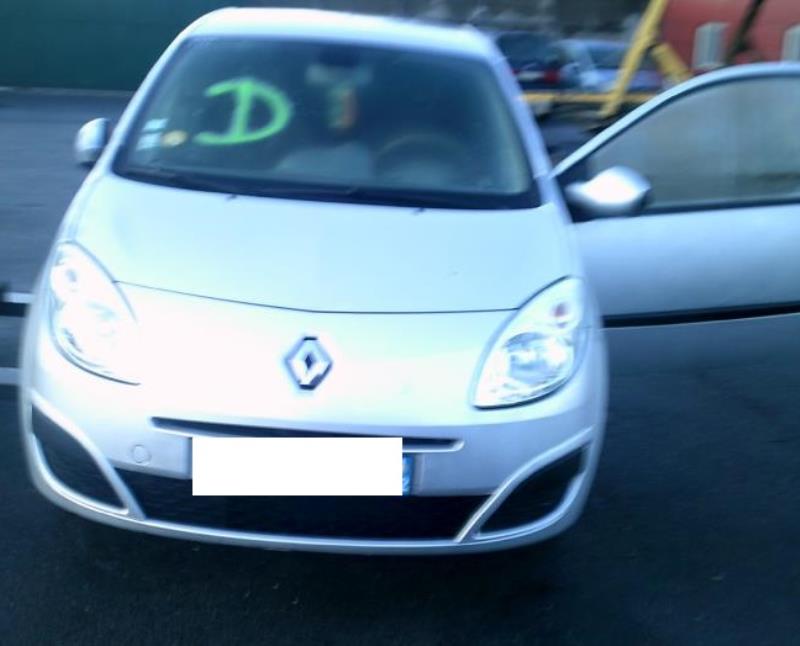 Motore RENAULT TWINGO 2 PHASE 1 Diésel - 1