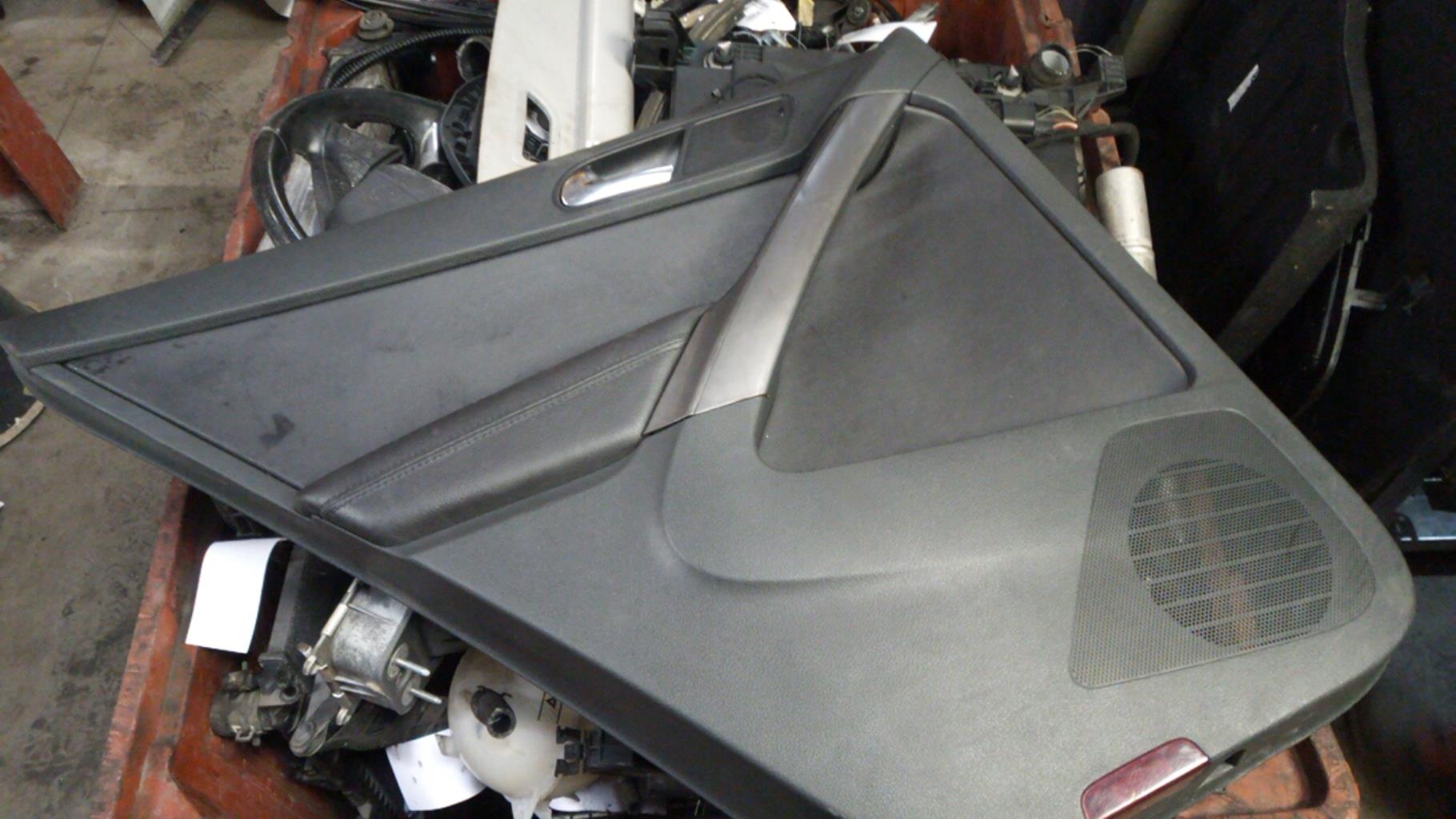 Pannello portiera posteriore sinistro VOLKSWAGEN TIGUAN 1 PHASE 1 Diésel - 1