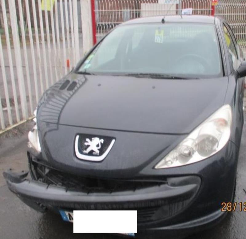 Pompa sterzo PEUGEOT 206+ Gasolina - 1