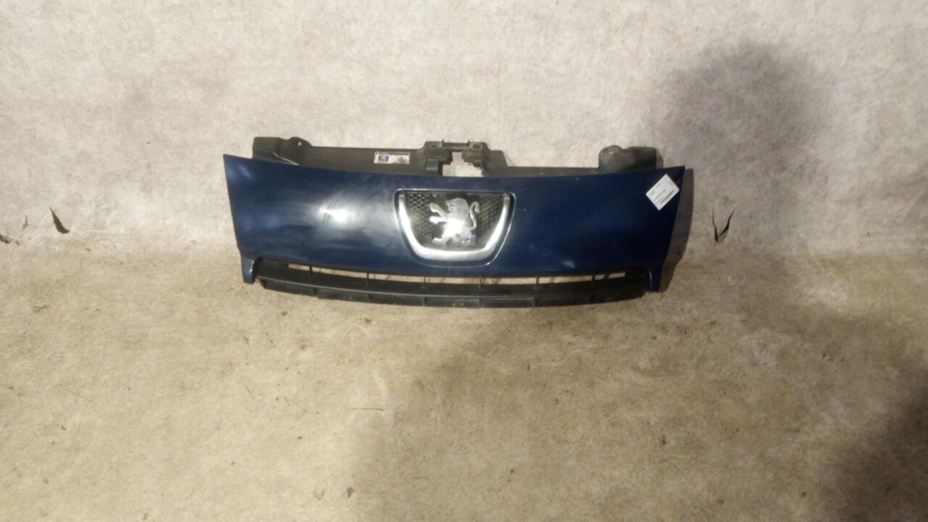 Calandra PEUGEOT EXPERT 2 Diésel - 1