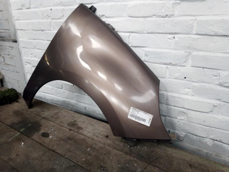 Parafango anteriore destro RENAULT SCENIC 3 PHASE 1 Diésel - 1
