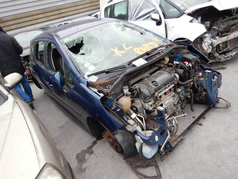 Molla a gas bagagliaio PEUGEOT 207 PHASE 1 BREAK Gasolina - 1