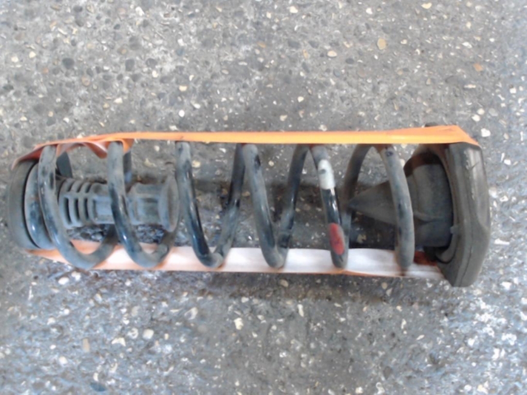 Molla sospensione posteriore destra RENAULT MEGANE 3 PHASE 1 COUPE Diésel - 1