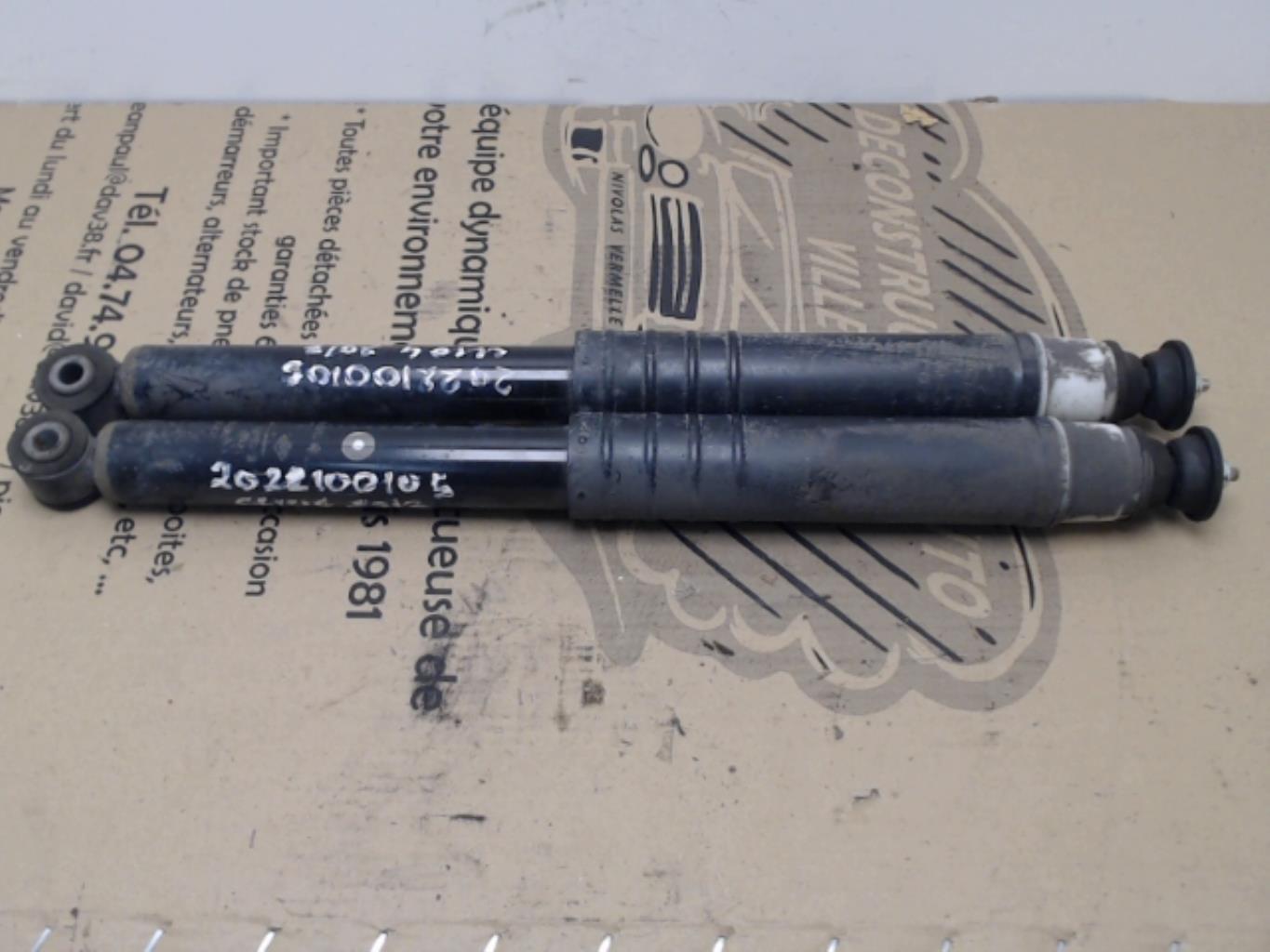 Ammortizzatori posteriori RENAULT CLIO 4 PHASE 1 Diésel - 1