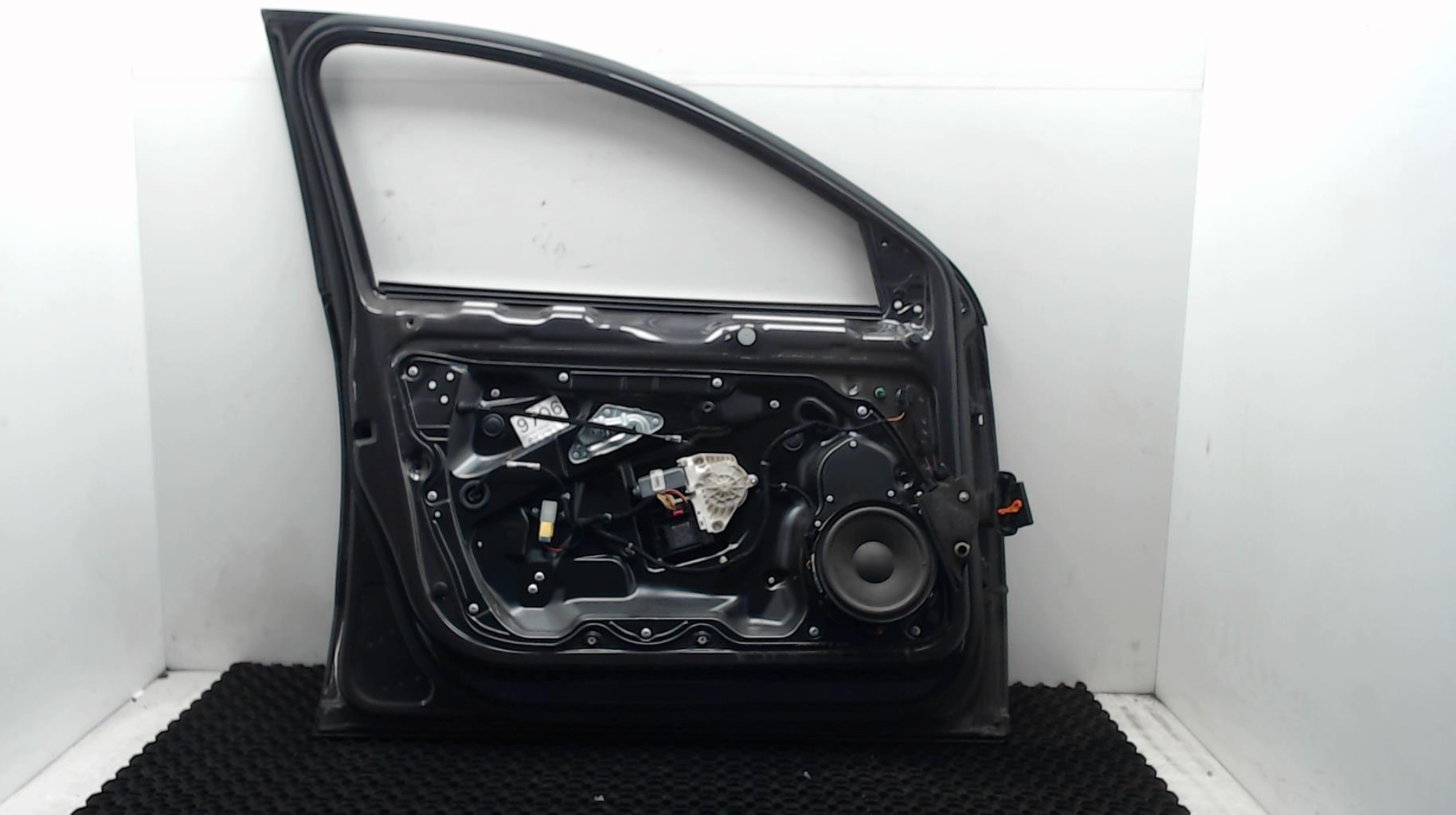 Portiera anteriore sinistra VOLKSWAGEN PASSAT 5  - 1