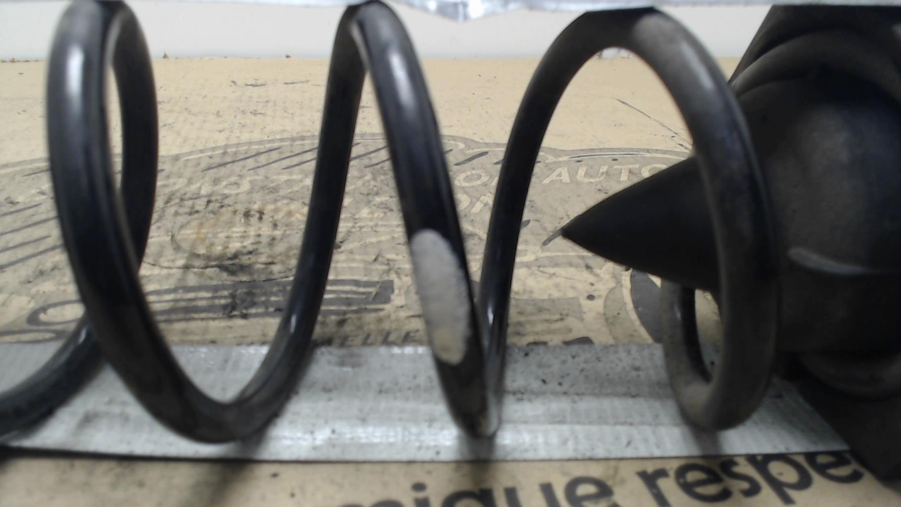 Molla sospensione posteriore destra RENAULT MEGANE 3  - 1