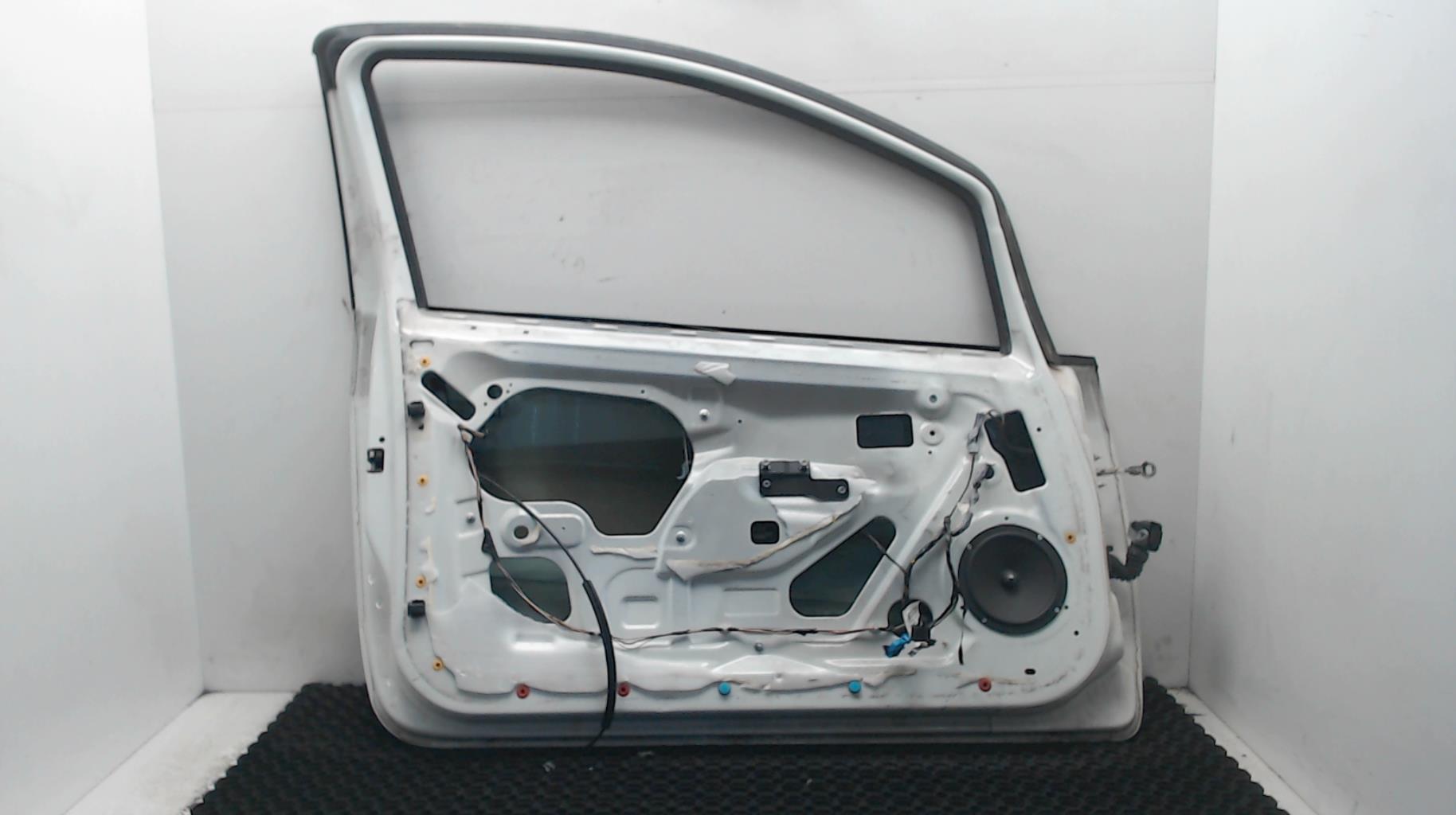 Portiera anteriore sinistra FIAT PUNTO EVO 3  - 1