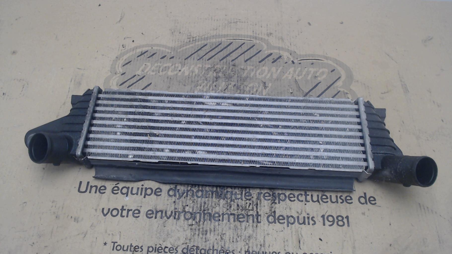 Echangeur air (Intercooler) RENAULT KANGOO 1 PHASE 1 Diesel - 1