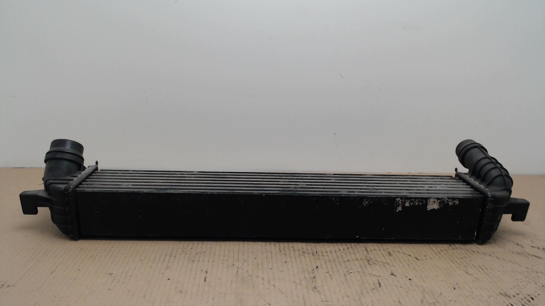 Echangeur air (Intercooler) RENAULT LAGUNA 3 PHASE 1 Diesel - 1