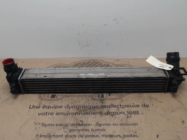 Echangeur air (Intercooler) RENAULT SCENIC 3 PHASE 3 Essence - 1