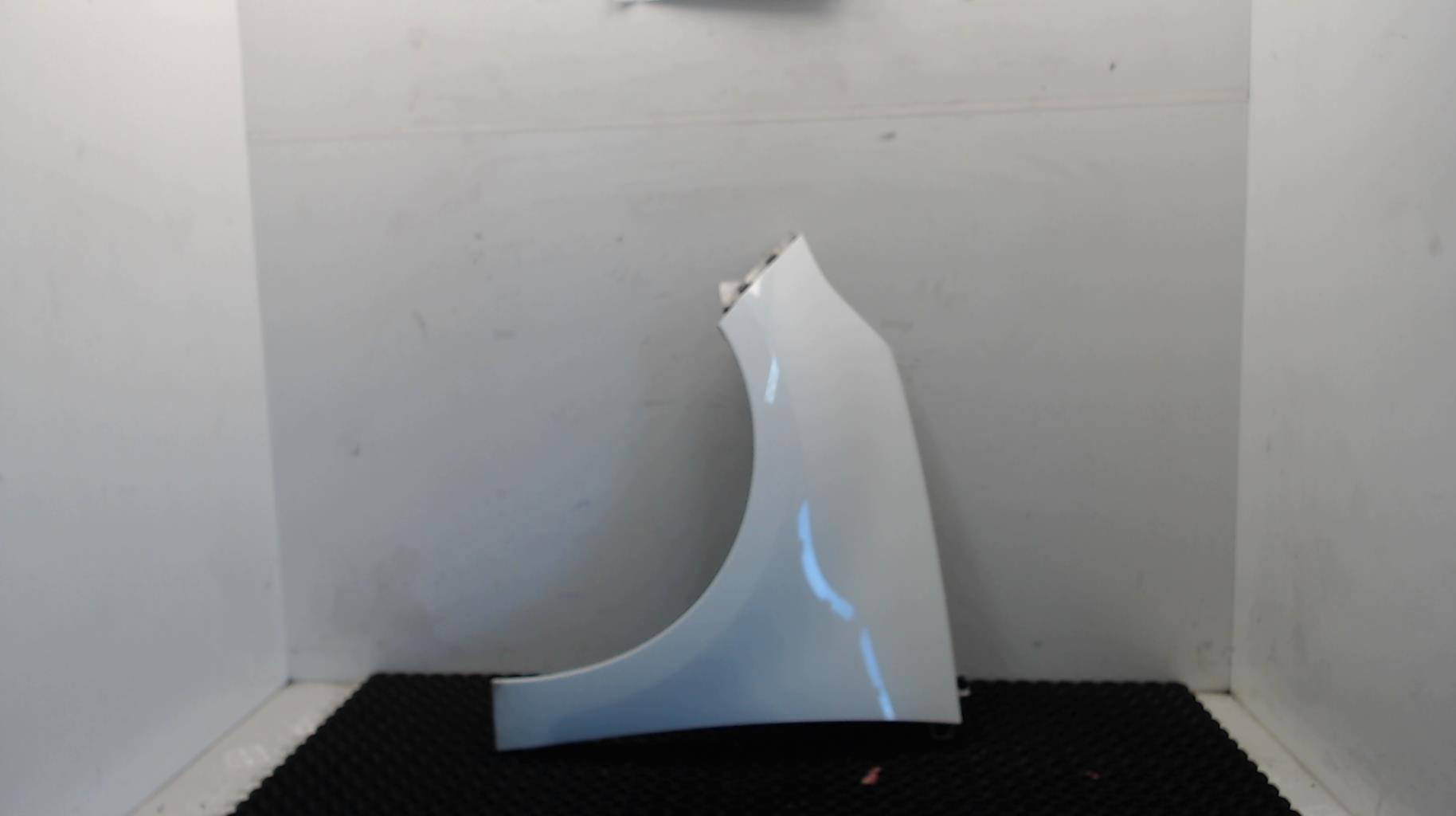 Parafango anteriore sinistro RENAULT SCENIC 3 PHASE 1 Diésel - 1