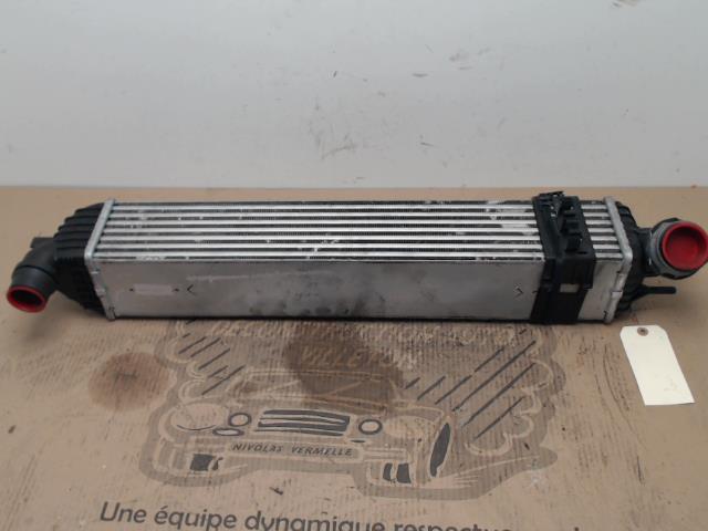 Echangeur air (Intercooler) RENAULT LAGUNA 3 PHASE 2 BREAK Diesel - 1