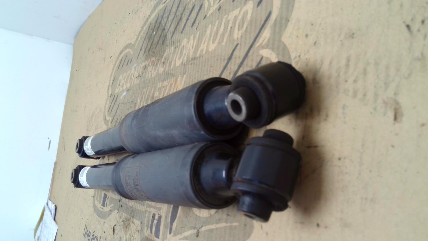 Ammortizzatori posteriori CITROEN C3 3 PHASE 1 Gasolina - 1