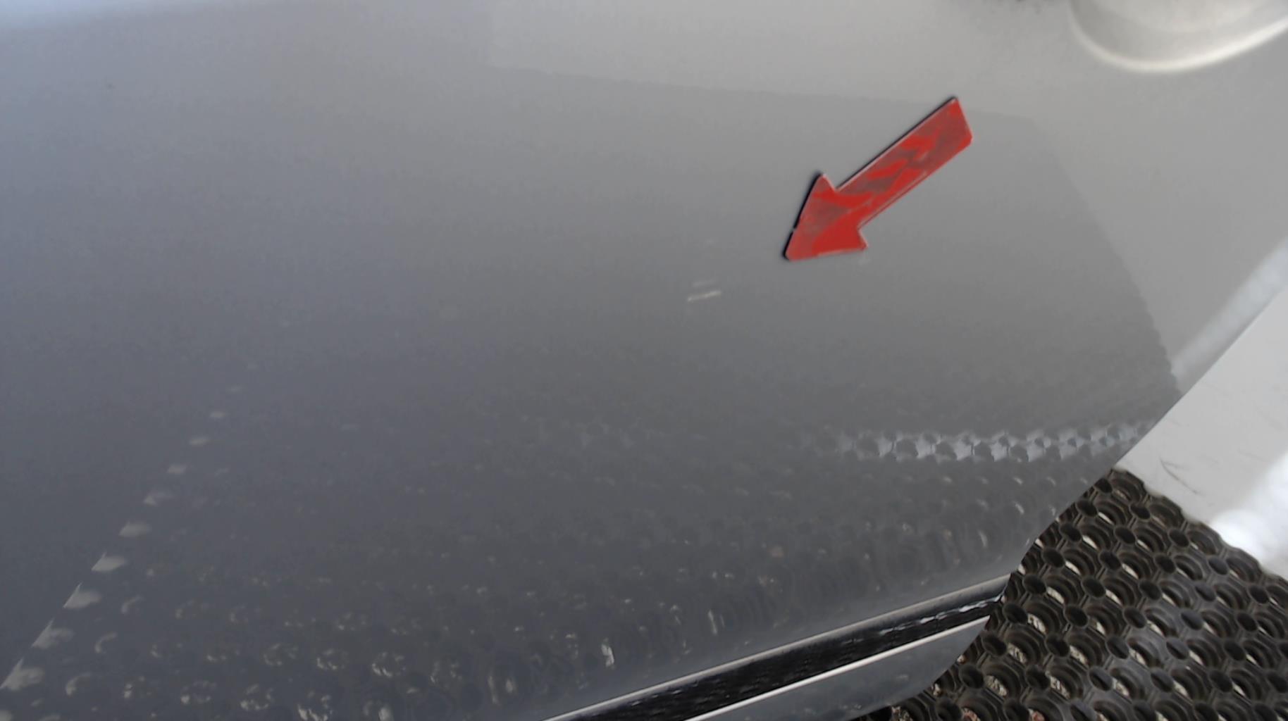 Portiera anteriore sinistra RENAULT GRAND SCENIC 3 PHASE 3 Diésel - 1