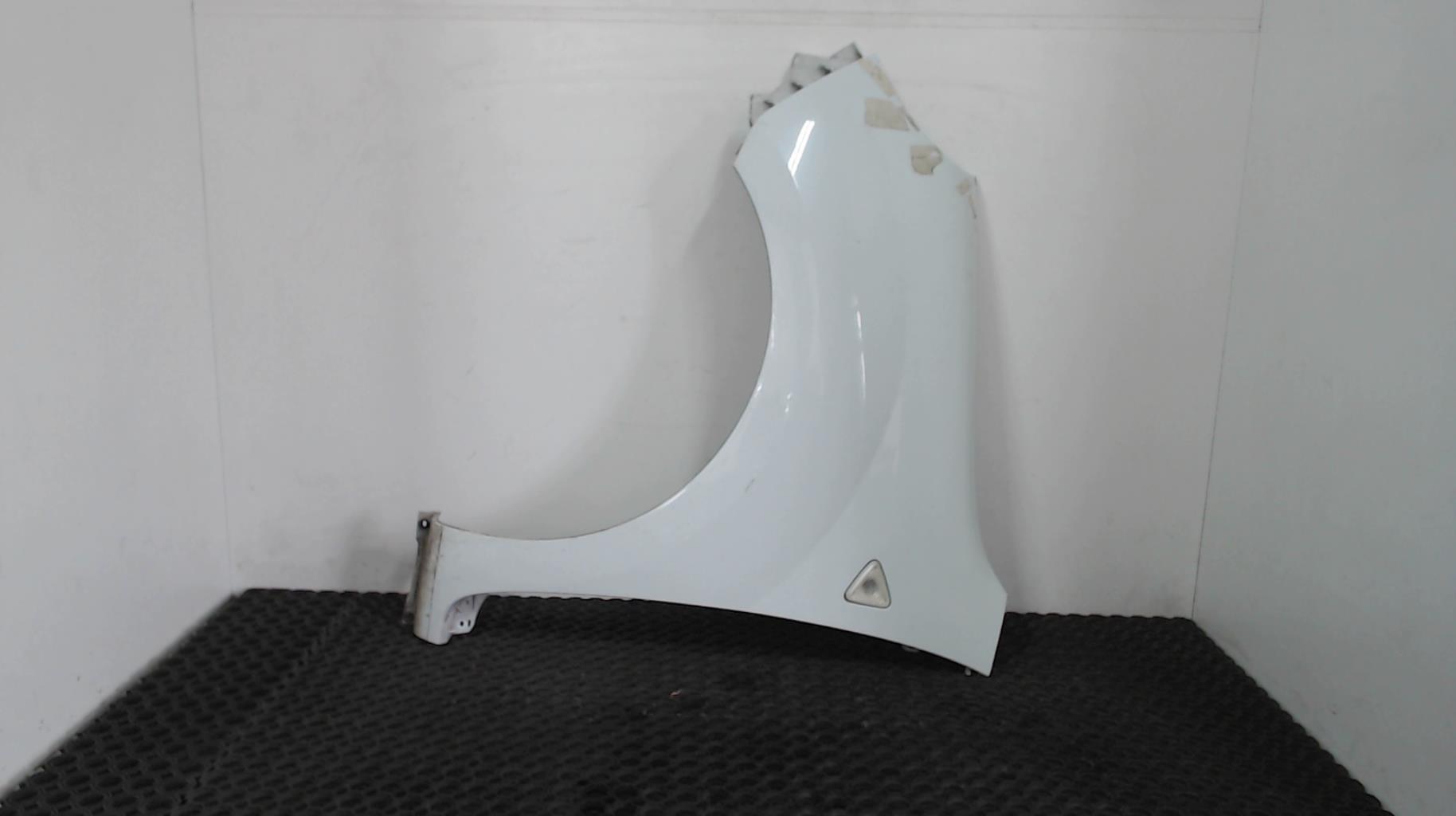 Parafango anteriore sinistro RENAULT KANGOO 2 PHASE 1 Diésel - 1