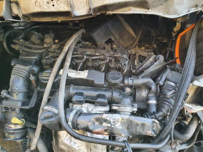 Image Porte arriere gauche - FORD FOCUS 2
