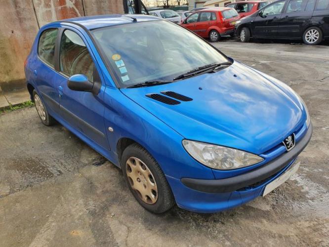 Image Retroviseur gauche - PEUGEOT 206