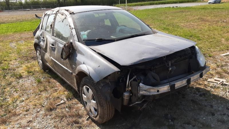 Image Retroviseur gauche - RENAULT MEGANE II