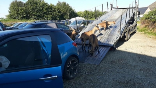 Image Boite de vitesses - CITROEN DS3