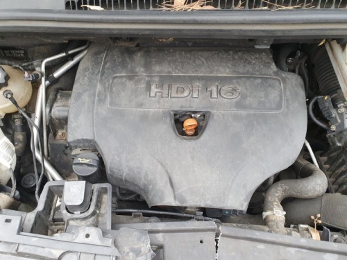 Image Appui tete arriere - PEUGEOT 5008 1