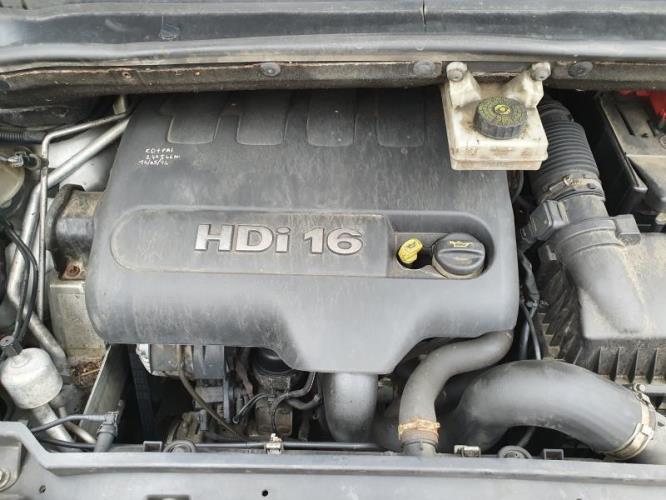 Image Porte arriere gauche - CITROEN C4 PICASSO 1