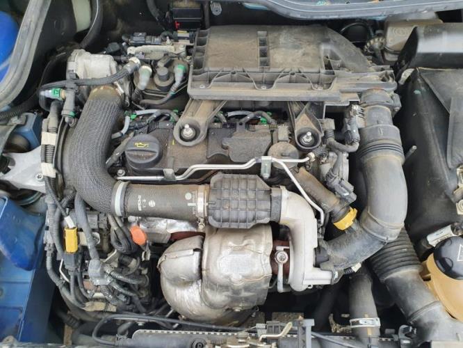 Image Feu arriere principal droit (feux) - PEUGEOT 206+
