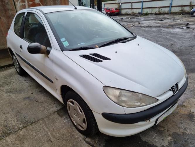 Image Retroviseur gauche - PEUGEOT 206
