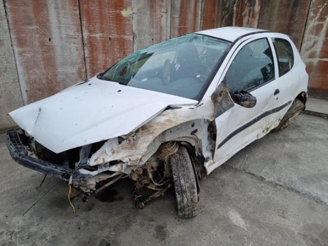 Image Feu arriere principal gauche (feux) - PEUGEOT 206