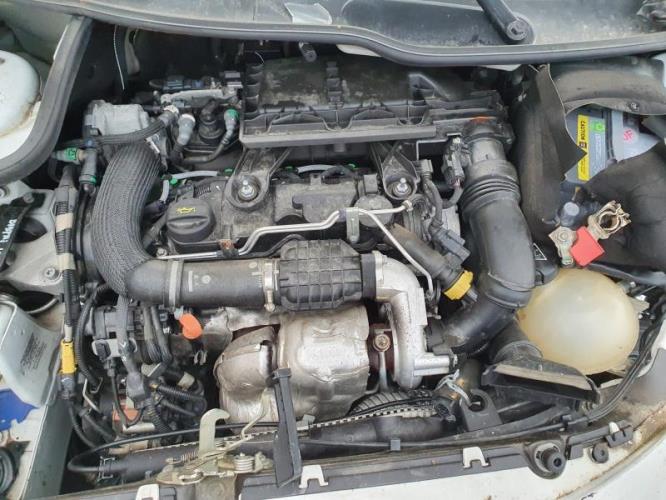 Image Feu arriere principal droit (feux) - PEUGEOT 206+
