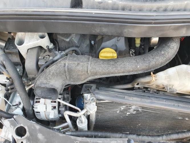 Image Feu arriere principal droit (feux) - RENAULT MODUS