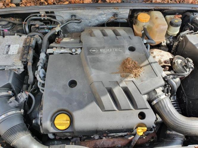 Image Feu arriere principal gauche (feux) - OPEL SIGNUM