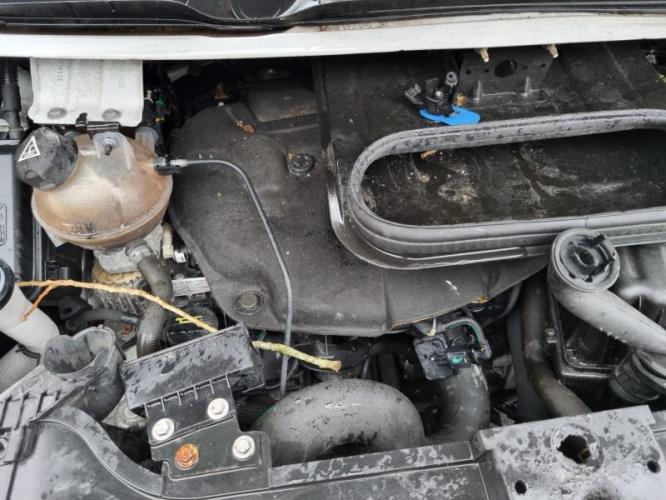 Image Retroviseur droit - FIAT SCUDO 2
